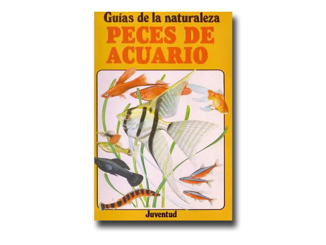 peces de acuario